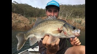 Bass Fishing Lake St Clair NSW [upl. by Aserat]