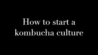 Hur man startar en kombucha kultur  How to start a kombucha culture [upl. by Llert]