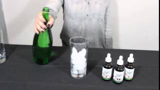 Making Sugar Free Soda with SweetLeaf Stevia [upl. by Venu]