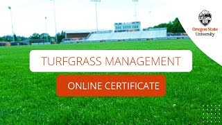 Get Ahead in Turfgrass Management with OSUs Online Certificate [upl. by Eibbor]