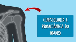 Cinesiologia e biomecânica do ombro [upl. by Varick]