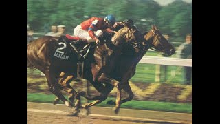 AFFIRMED Belmont Stakes G1 1978 [upl. by Aramat830]