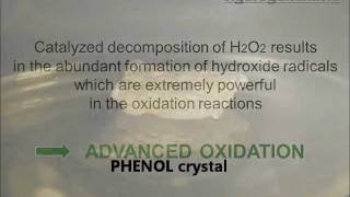 Phenol Degradation by Catalyzed Hydrogen Peroxide H2O2 [upl. by Natanoj916]