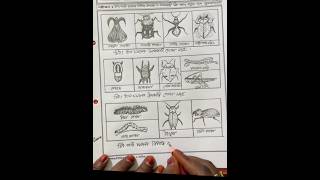 Agriculture practical drawing  art drawing short [upl. by Eyanaj]