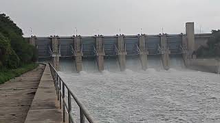 Amazing View of Spillways water release after Year in Hydro Power Dam [upl. by Darrell175]