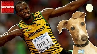 USAIN BOLT Races…DOGS [upl. by Yeldar]