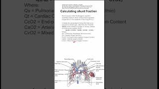 Calculating shunt fraction [upl. by Lais127]