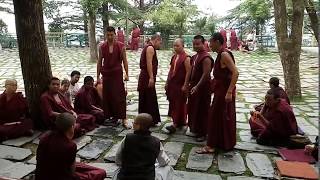 Tibetan class in Dalai Lama Temple Mcleod Ganj Himachal Pradesh [upl. by Earased]