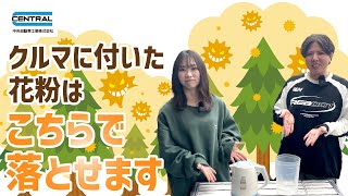 クルマに花粉が付いてる！これだけで車の花粉が取れちゃいます [upl. by Hotze]