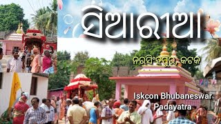 siaria nrusinhapur Cuttack Odisha iskcon bhubaneswar Padayatra 2024 [upl. by Drobman868]