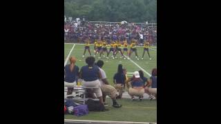 Motorcity Wolverines Cheer 2016 benefit game [upl. by Zeugirdor690]