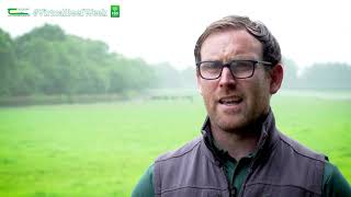 How to install and operate a simple paddock grazing system  Sean Roddy  Virtual Beef Week [upl. by Enilrem781]