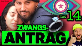 CRINGEAntrag 💍 SAT1 DRÄNGT Mike zur VERLOBUNG 😳 Promi Big Brother 2024 Tag 14 [upl. by Bondie]