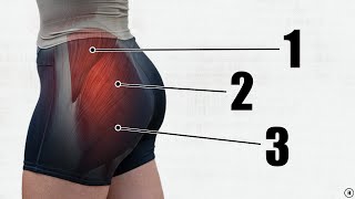 How To Grow Your Glutes 5 BEST Exercises  Gluteal Amnesia Myth Busting [upl. by Yelrahc]