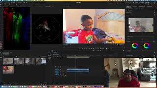 Apple LUT Log To Rec 709 in Premier Pro and Davinci Resolve [upl. by Aleciram]