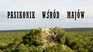 Pasikonik wśród Majów [upl. by Ynahpets]