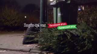 Kerstboom eruit Kamerplant erin [upl. by Colwell]