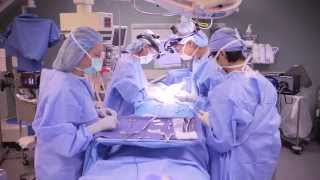 Parathyroid Surgery  UCLA Endocrine Surgery [upl. by Ojyma626]