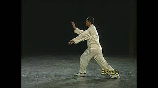 Dr Yang JwingMing classic demonstration of the 108 quotOld Yangquot taijiquan low res 360 mid 1990s [upl. by Tanhya262]