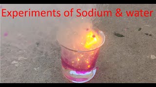 Reaction of Sodium and Water [upl. by Suckow]