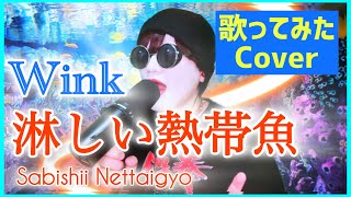 【Wink】Sabishii Nettaigyo 淋しい熱帯魚 歌ってみたcover kintaro chocolat [upl. by Charlie188]