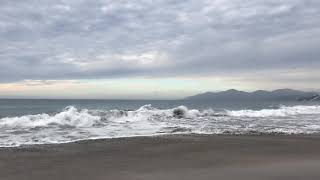 Sonidos de Gaviotas Mar y Olas amp sound seagul and sea relax [upl. by Lawrenson]