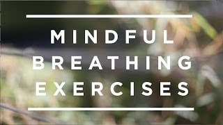 Mindful Breathing Exercises Jeffrey Schwartz [upl. by Barker329]