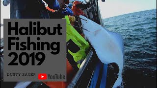 Alaska Halibut Fishing 2019 HD [upl. by Llewellyn]