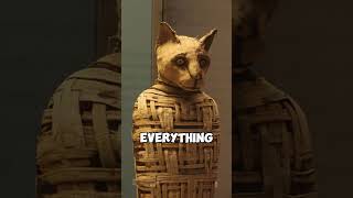 Ancient Egypt Mummified EVERYTHING Even Pets history [upl. by Edi741]