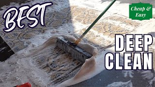 CheapEasy DIY Rug Cleaning  High Traffic Carpet Cleaning  Restoration [upl. by Yrrad920]