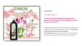 BENESSERE IN AUTUNNO NAHRIN Realizzato con Clipchamp [upl. by Eneles]