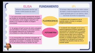 ANTICUERPOS ANTINUCLEARES Y ANTICUERPOS ANTICITOPLASMA DE NEUTROFILOS [upl. by Cinemod]