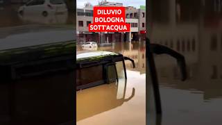 Diluvio  Bologna allagata 😱😱 [upl. by Imeka]