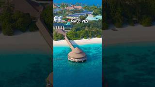 MALDIVES The Ultimate Tropical Escape travel maldives nature shorts youtubeshorts [upl. by Nightingale]