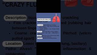 Crackles Rales quotCrazy Fluidquot Abnormal lung sounds [upl. by Anolla900]