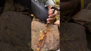 Kentucky Geodes and Agates On a Rock Saw crack rock Fossils stone old worth open Rocks [upl. by Ahsiekyt914]