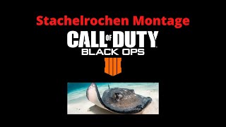 Der Stachelrochen sticht zu BO4 Montage [upl. by Ferri439]