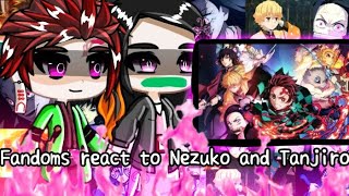 Fandoms react to Tanjiro and Nezuko ll Demon slayer ll 34 [upl. by Amadis]