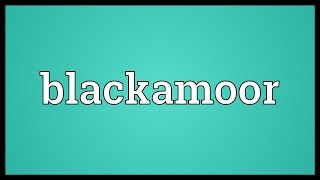 Blackamoor Meaning [upl. by Nickolaus]