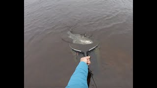 Breezy July Fly Fishing Llyn Brenig  CDC makes a large Rainbow Trout jump like a dolphin VCAC [upl. by Germaun]