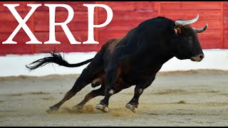 📈WARNING quotBITCOIN ETF IS GETTING APPROVED TOMORROWquot  XRP BULLRUN TO 1 INCOMING📈 [upl. by Schuster178]