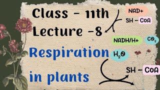 Respiration in plants Lecture 8 [upl. by Gertrudis]