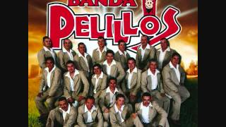 Yo te voy a amar  Banda pelillos [upl. by Ardehs]