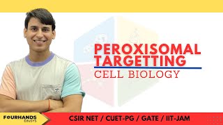 Targeting of peroxisomal proteins  Peroxysomal Targeting  peroxysome [upl. by Lucila]