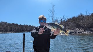 Table Rock Lake Video Fishing Report February 20 2024 short [upl. by Keavy315]