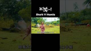 खतरनाक shark का हमला 𒅌 shorts youtubeshorts shortsvideo shortsfeed [upl. by Timi]