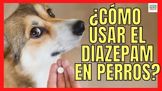 🆘 COMO USAR EL DIAZEPAM COMO TRANQUILIZANTE DE HUMANOS PARA PERROS 🆘 DOSIS [upl. by Solegnave]