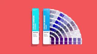 Pantone Color Bridge for Graphic Packaging and Digital Design [upl. by Nagek]