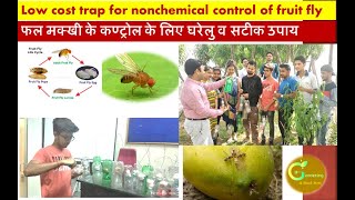 फल मक्खी के कण्ट्रोल के लिए घरेलु व सटीक उपाय Low cost trap for nonchemical control of fruit fly [upl. by Lekram]