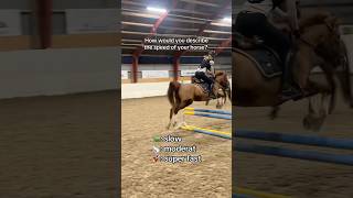 Comment 🐢 🐇 or 🚀 equestrian horse horses pony pferde cheval hest trending funny fun [upl. by Mert]